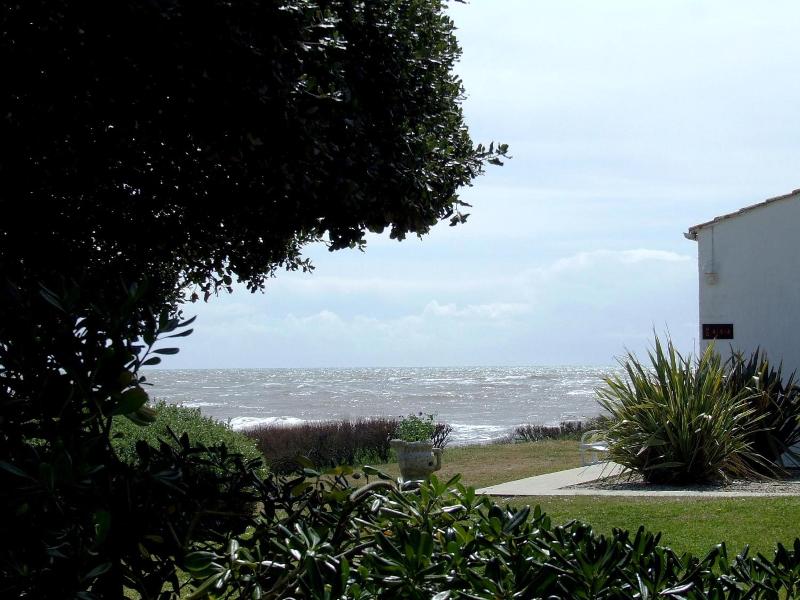 Ile De Lumiere image