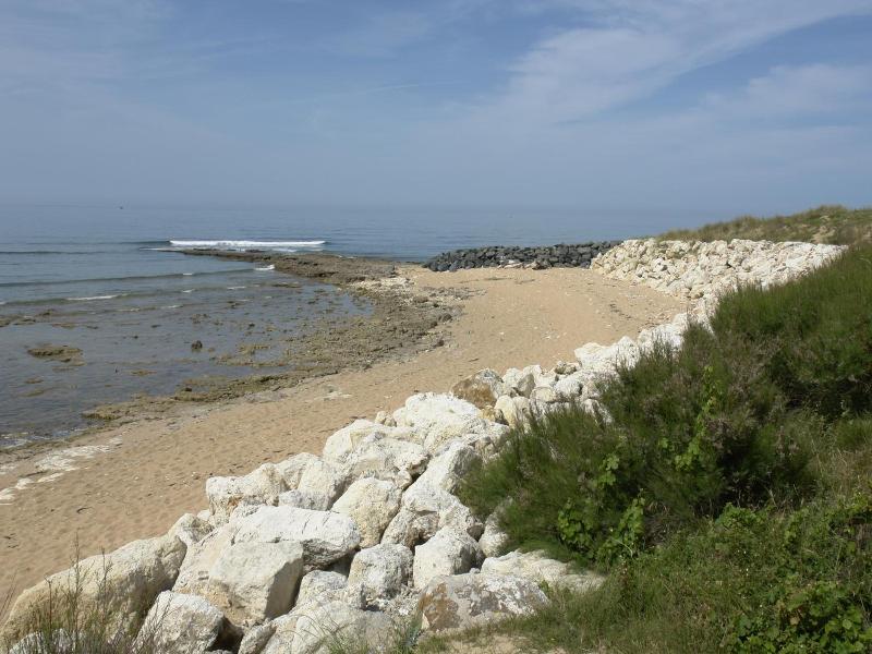 Ile De Lumiere image