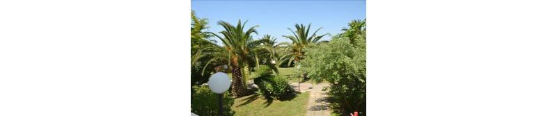 Alessidamo Club image