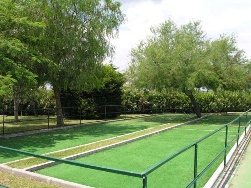 Alessidamo Club image