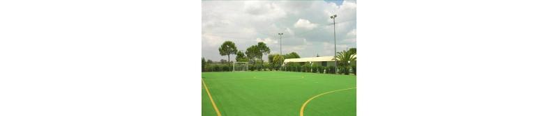 Alessidamo Club image