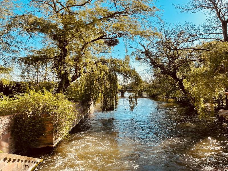 Le Moulin De La Wantzenau image
