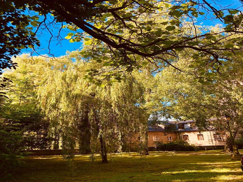 Le Moulin De La Wantzenau image