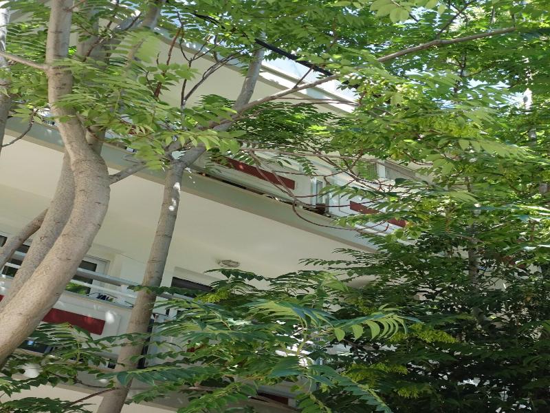 Bristol image