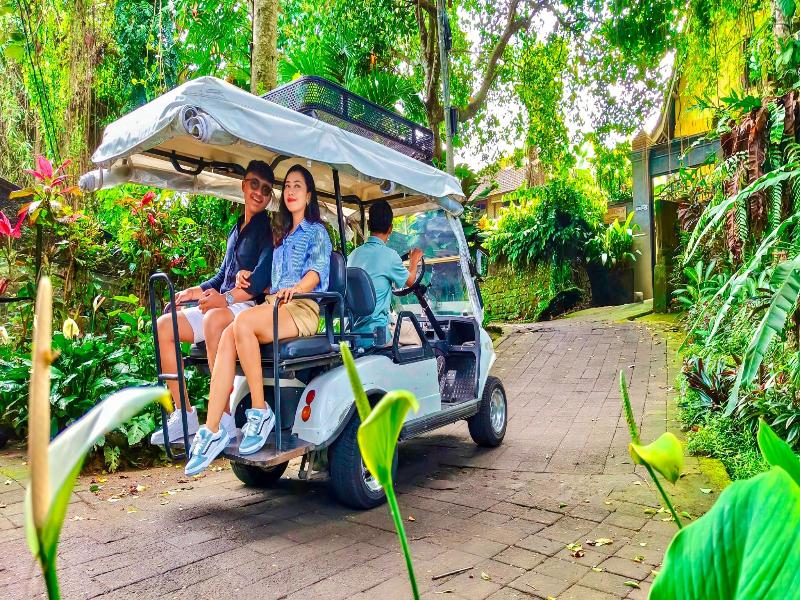 Ubud Heaven Penestanan image