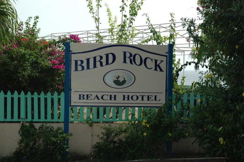 Bird Rock Beach