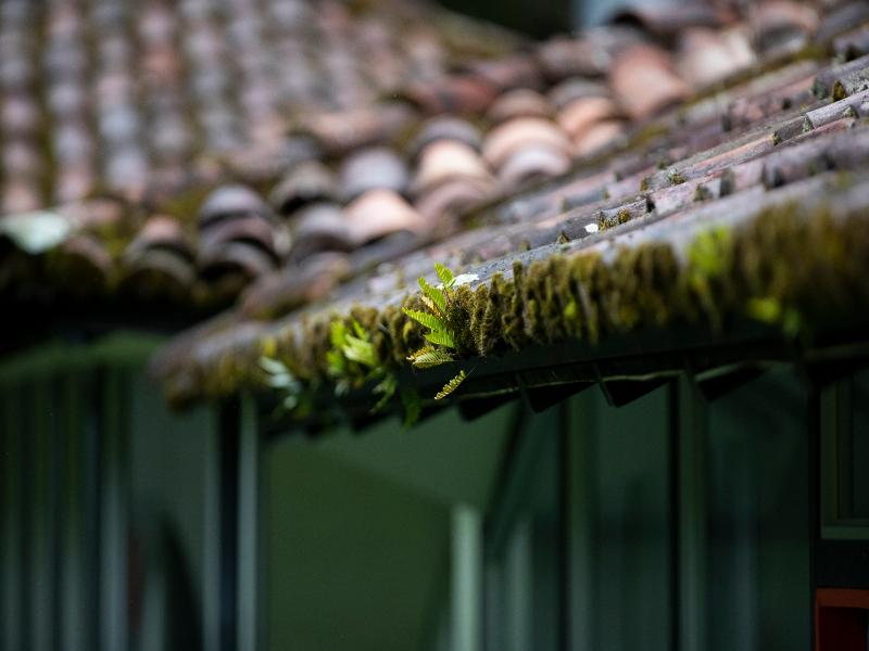 Dantica Cloud Forest Lodge image