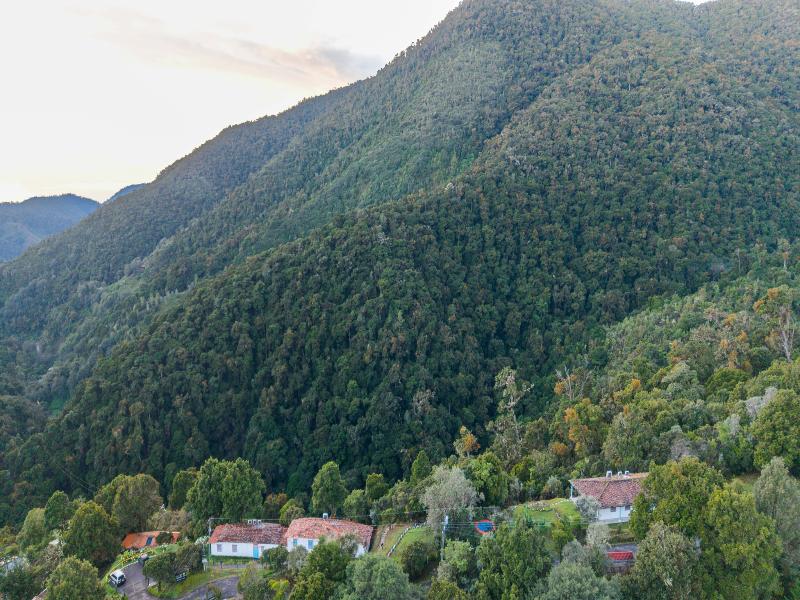 Dantica Cloud Forest Lodge image