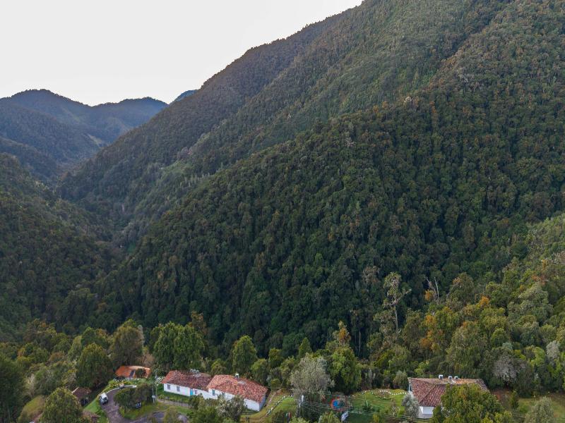 Dantica Cloud Forest Lodge image