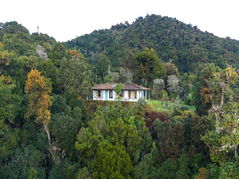 Dantica Cloud Forest Lodge image