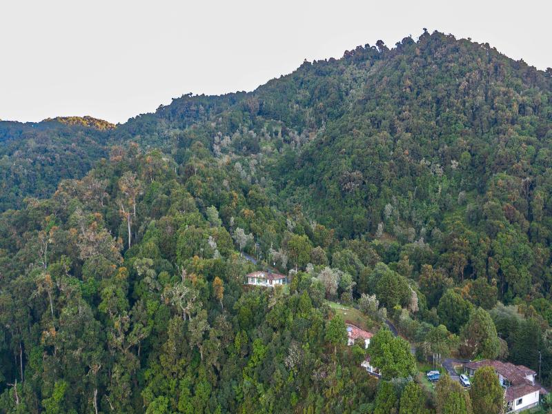 Dantica Cloud Forest Lodge image