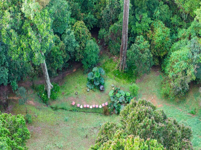 Dantica Cloud Forest Lodge image