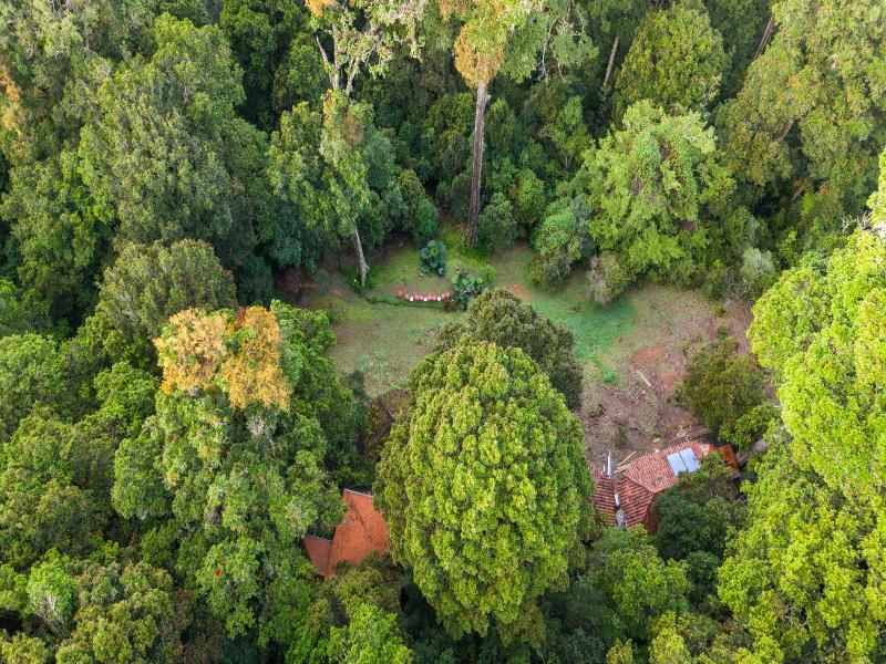 Dantica Cloud Forest Lodge image