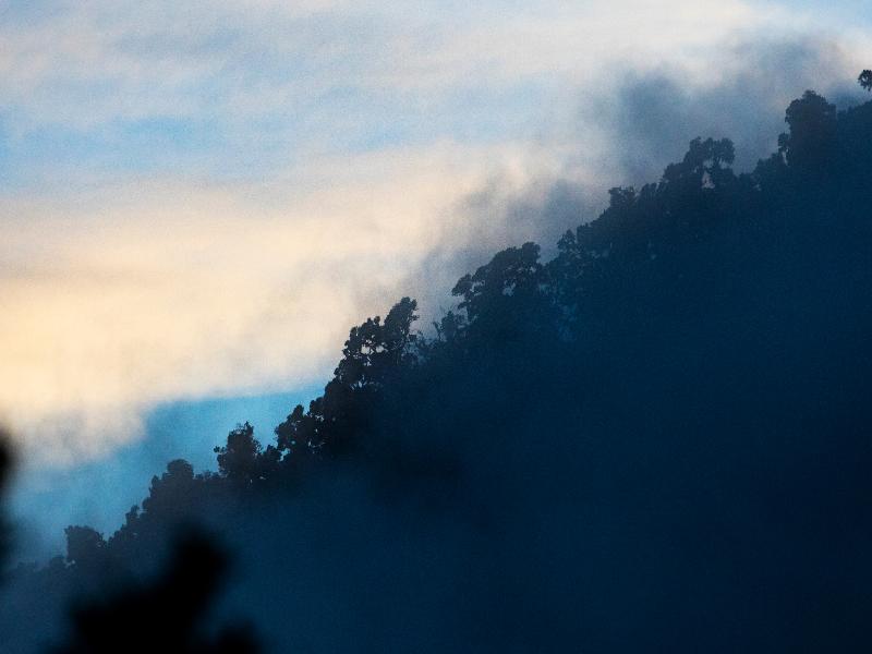 Dantica Cloud Forest Lodge image