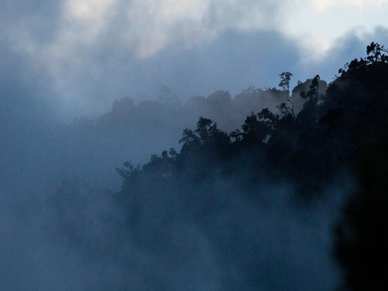 Dantica Cloud Forest Lodge image