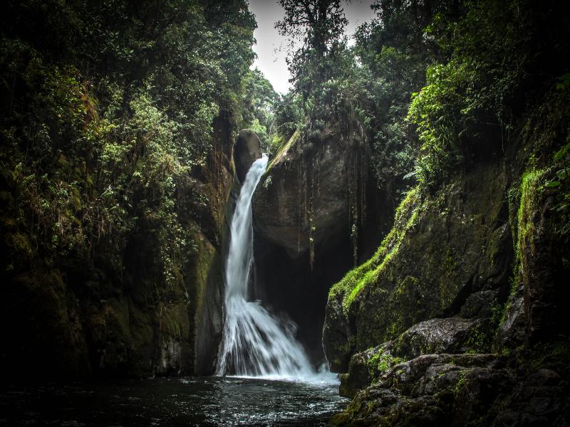 Dantica Cloud Forest Lodge image