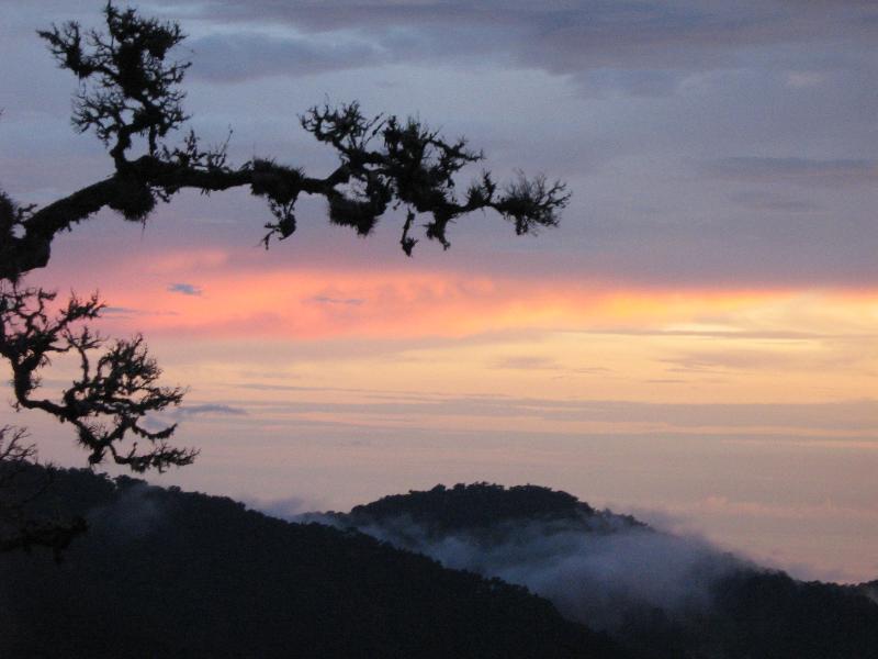 Dantica Cloud Forest Lodge image