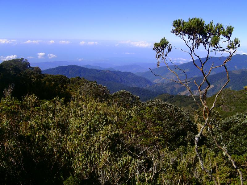 Dantica Cloud Forest Lodge image
