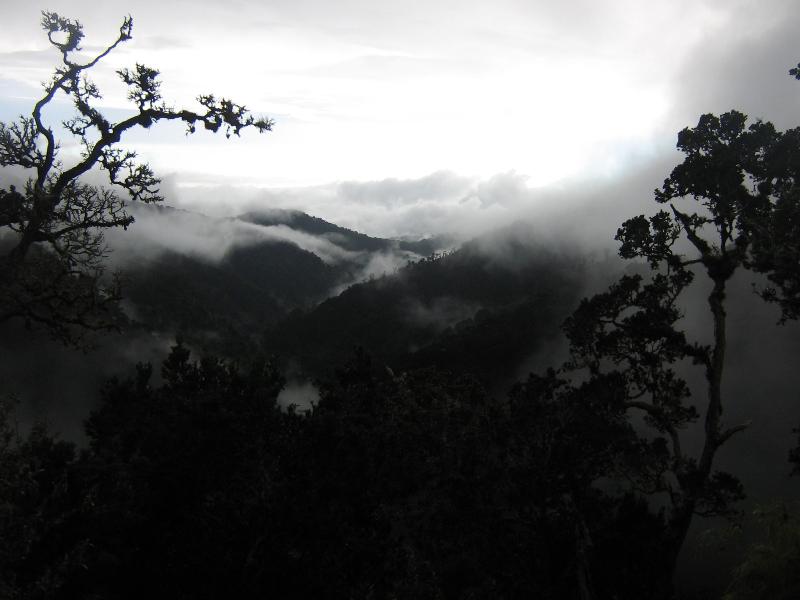 Dantica Cloud Forest Lodge image
