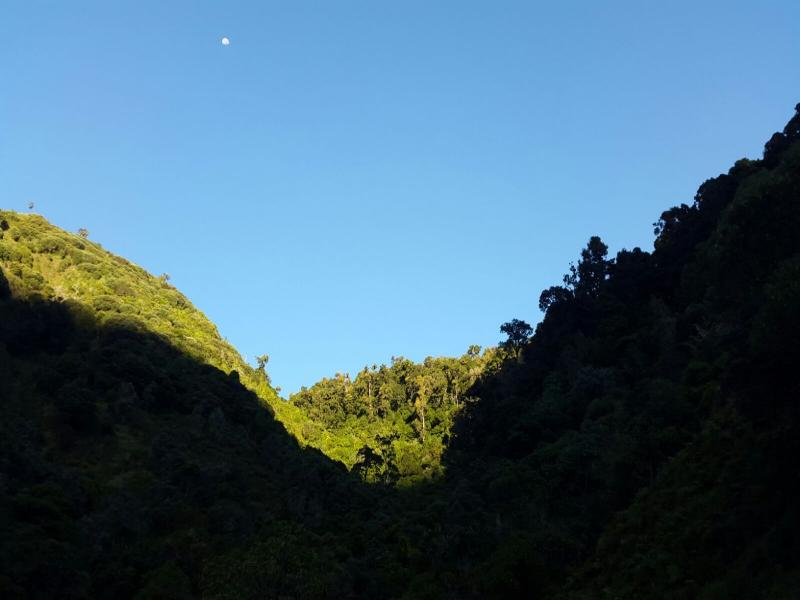Dantica Cloud Forest Lodge image