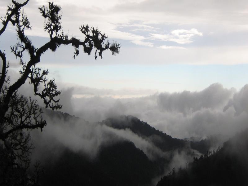 Dantica Cloud Forest Lodge image