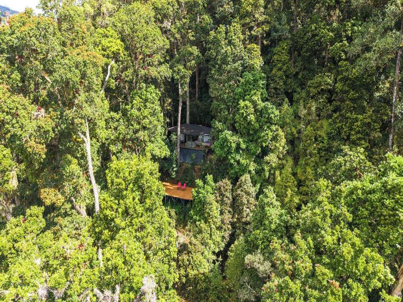 Dantica Cloud Forest Lodge image