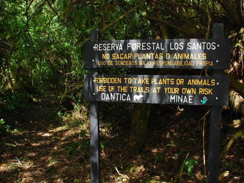 Dantica Cloud Forest Lodge image
