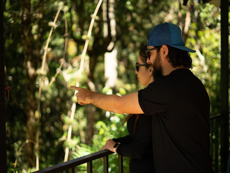 Dantica Cloud Forest Lodge image