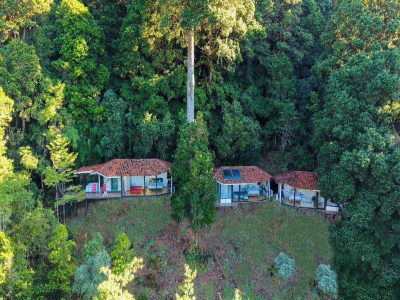Dantica Cloud Forest Lodge image
