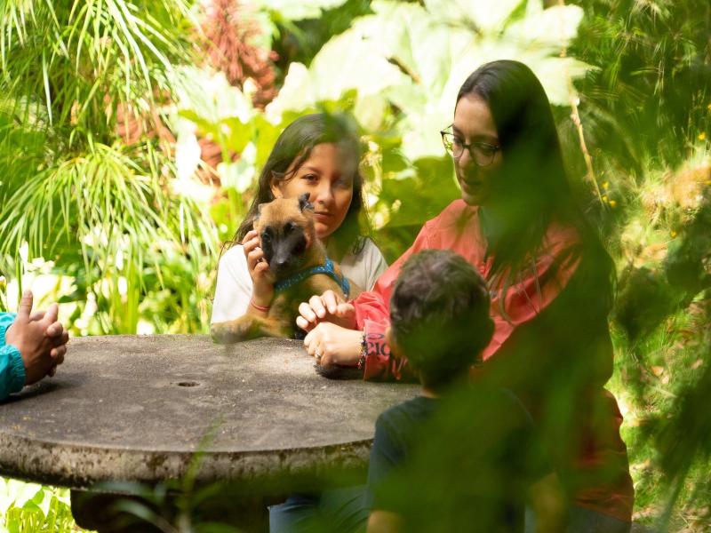 Dantica Cloud Forest Lodge image