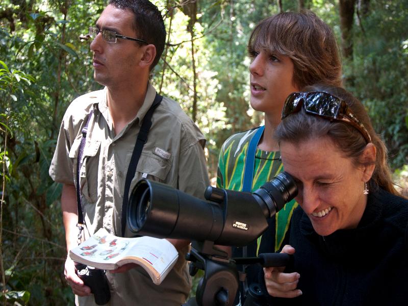 Dantica Cloud Forest Lodge image