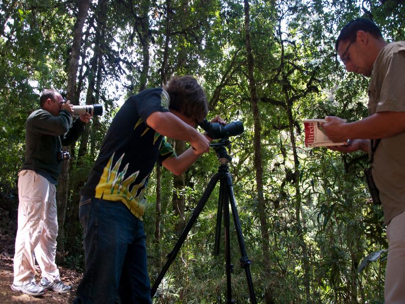 Dantica Cloud Forest Lodge image