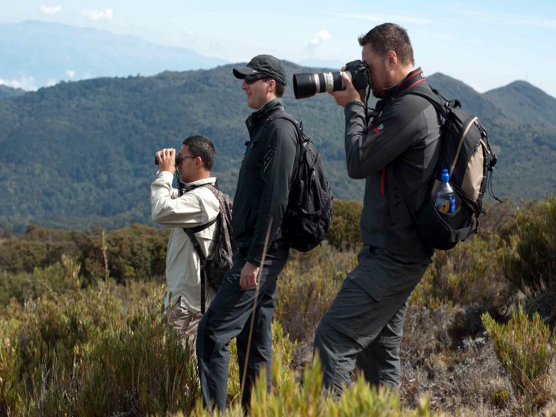 Dantica Cloud Forest Lodge image