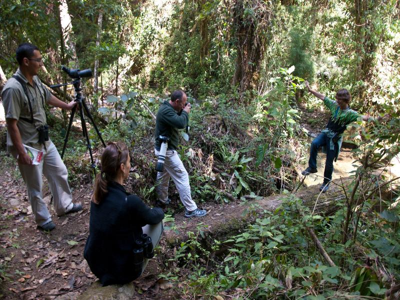 Dantica Cloud Forest Lodge image