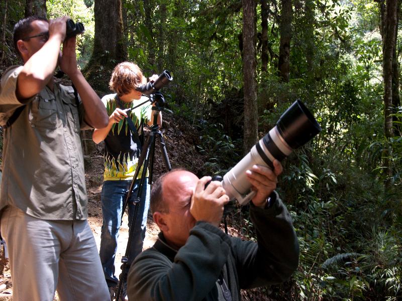 Dantica Cloud Forest Lodge image