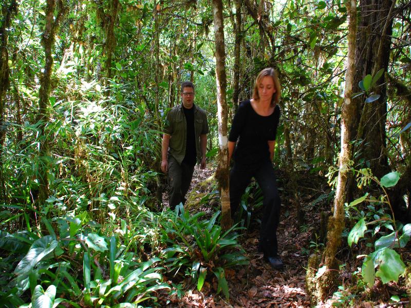 Dantica Cloud Forest Lodge image