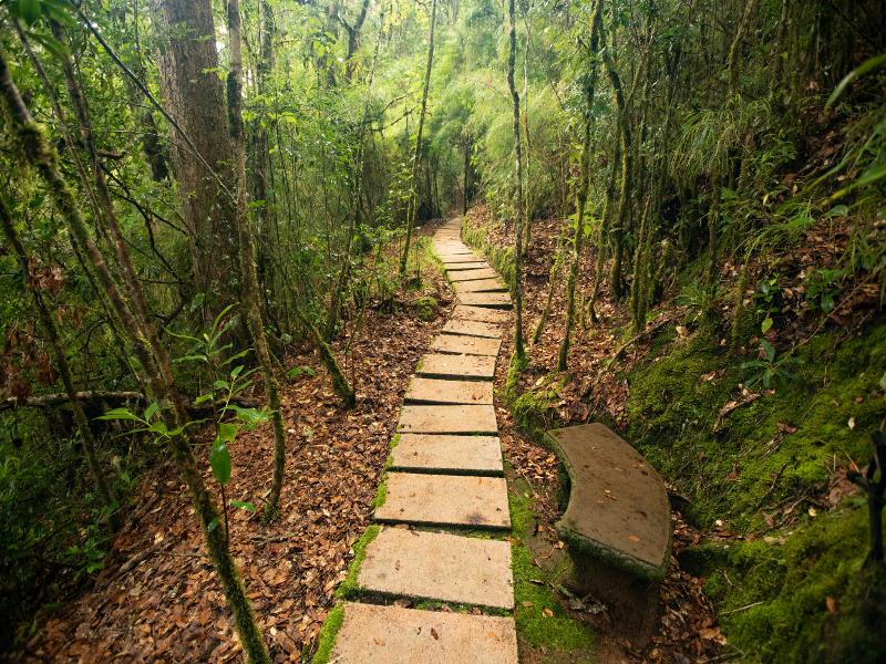 Dantica Cloud Forest Lodge image