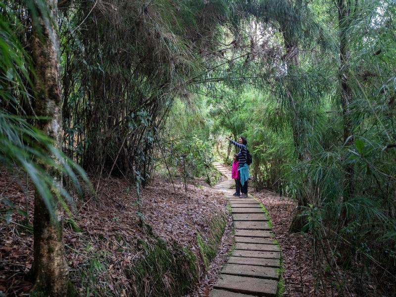 Dantica Cloud Forest Lodge image