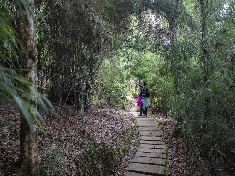 Dantica Cloud Forest Lodge image