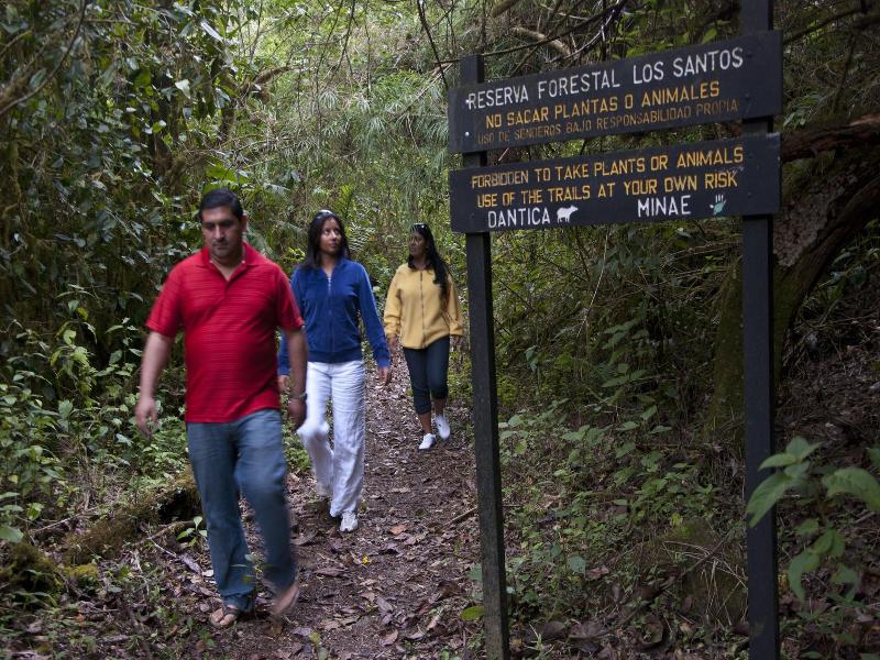 Dantica Cloud Forest Lodge image