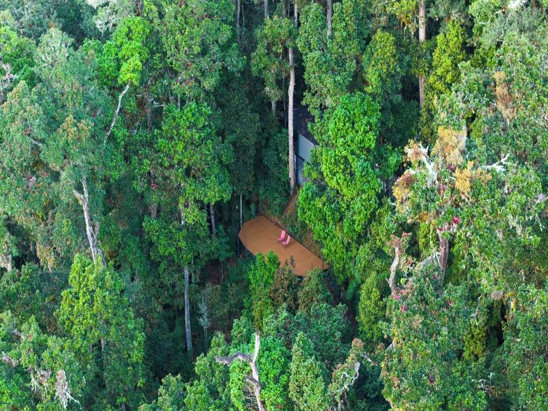 Dantica Cloud Forest Lodge image