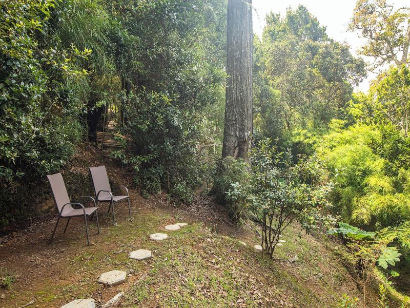 Dantica Cloud Forest Lodge image