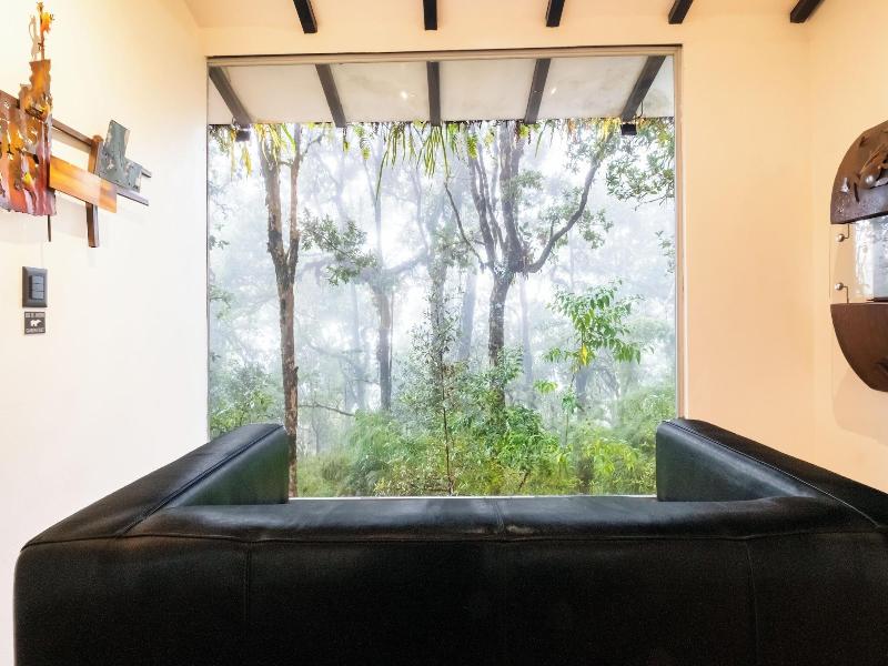 Dantica Cloud Forest Lodge image