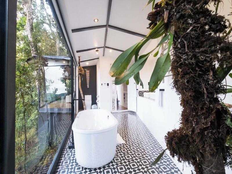 Dantica Cloud Forest Lodge image