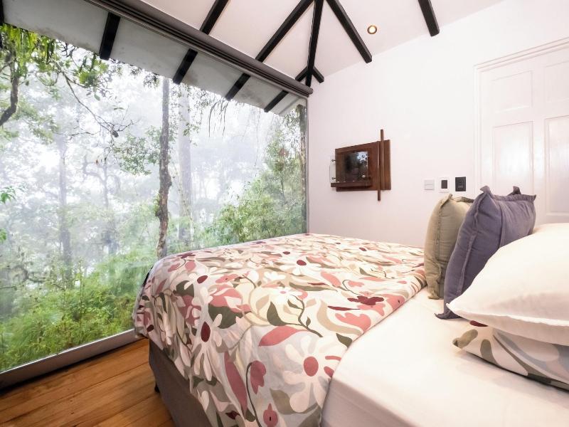 Dantica Cloud Forest Lodge image
