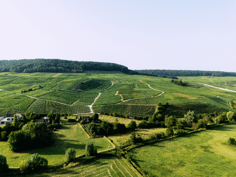 Hostellerie Briqueterie & Spa Champagne image