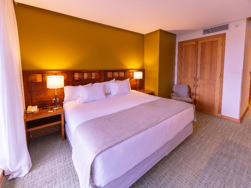 Wyndham Puerto Varas Pettra image