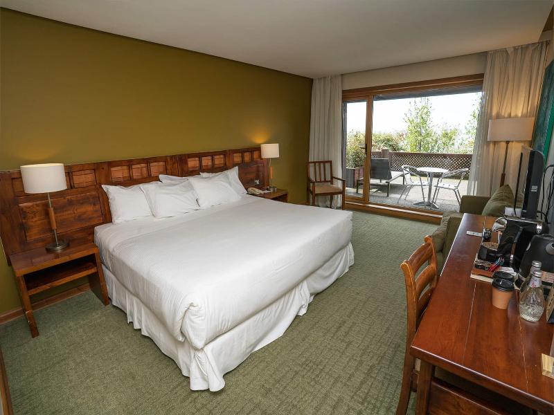 Wyndham Puerto Varas Pettra image