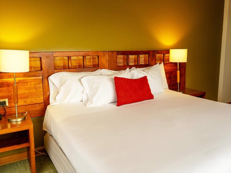 Wyndham Puerto Varas Pettra image