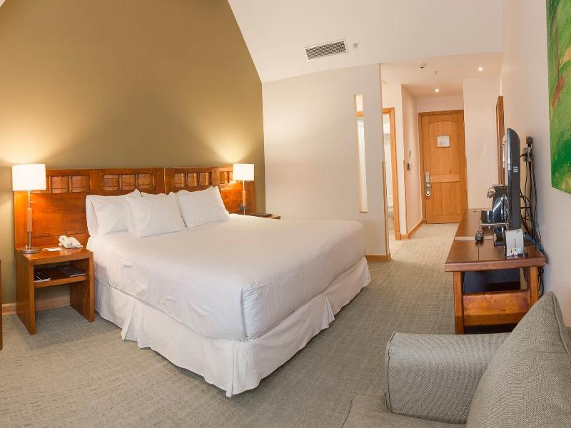 Wyndham Puerto Varas Pettra image
